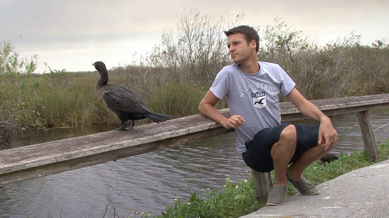 Birding South Florida