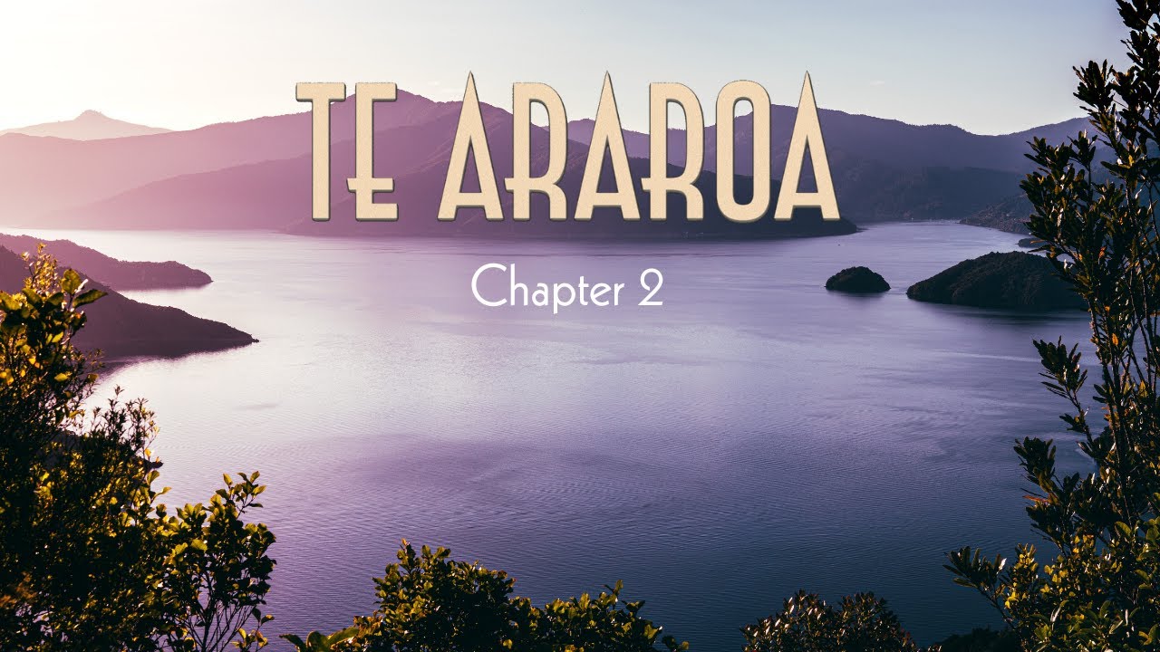 Te Araroa | From Beaches to Beeches on the South Island | Chapter 2