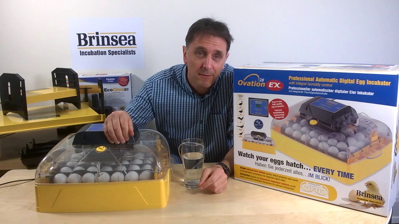 Brinsea Ovation 28 EX Egg Incubator