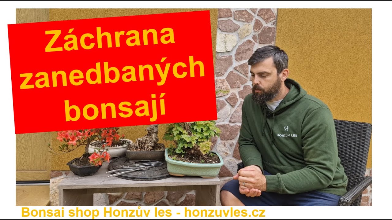 Záchrana zanedbaných bonsají