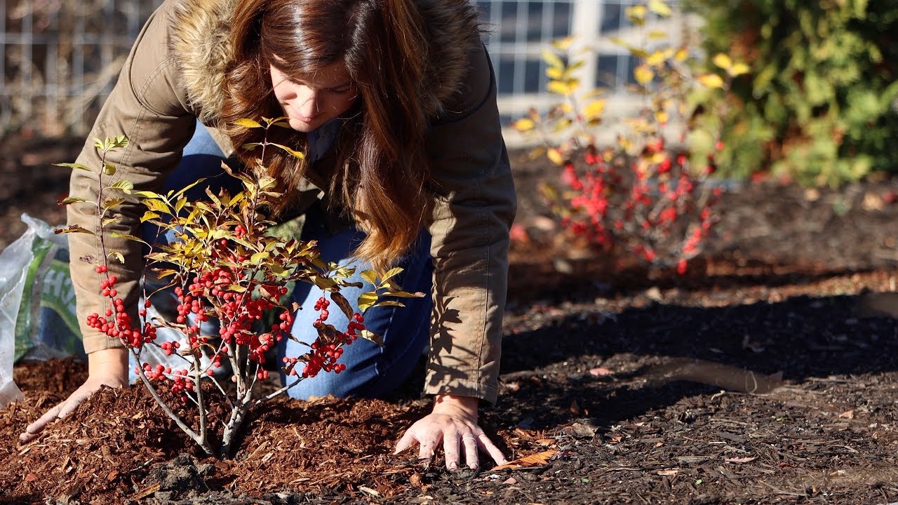 When Is It Too Late to Plant in Fall? | Proven Winners&reg; Autumn Gardening Tips
