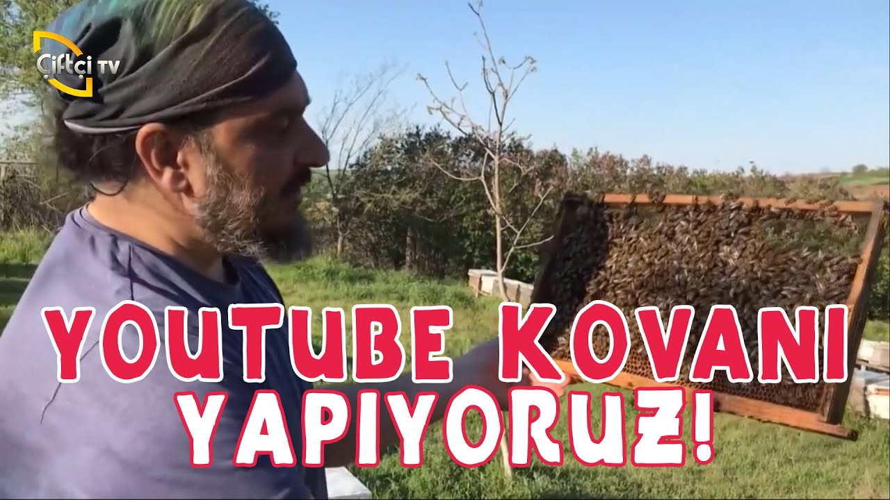 Sizlerle Birlikte Sıfırdan Kovan Yapıyoruz - A'dan Z'ye Arıcılık