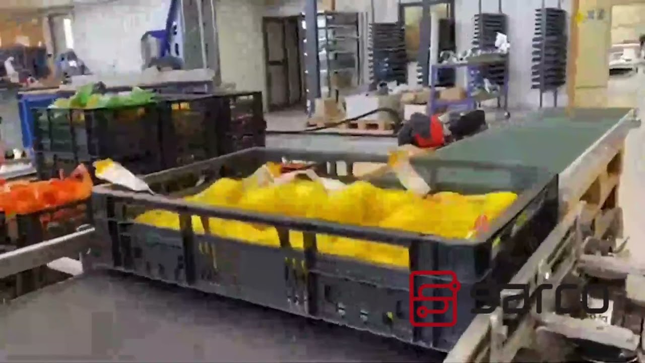Sraco Packaging EgaTec BD606 Case Packer Citrus