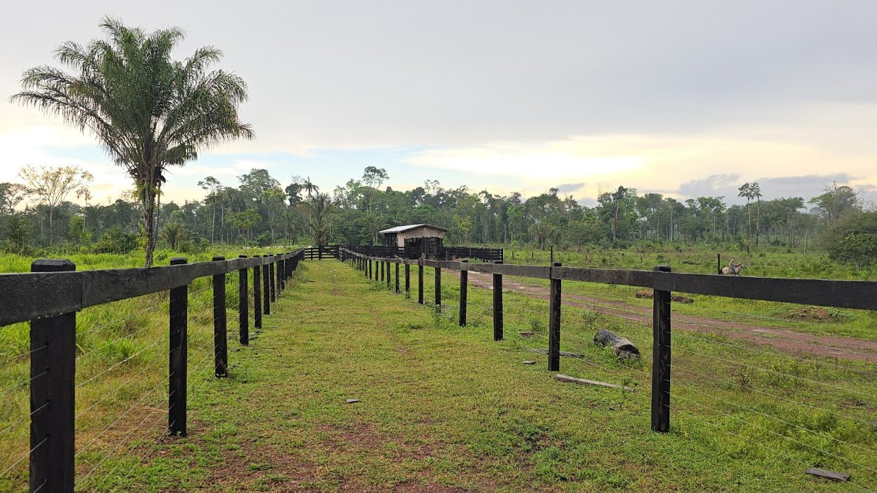 Sítios abandonados em Roraima: quais as causas?
