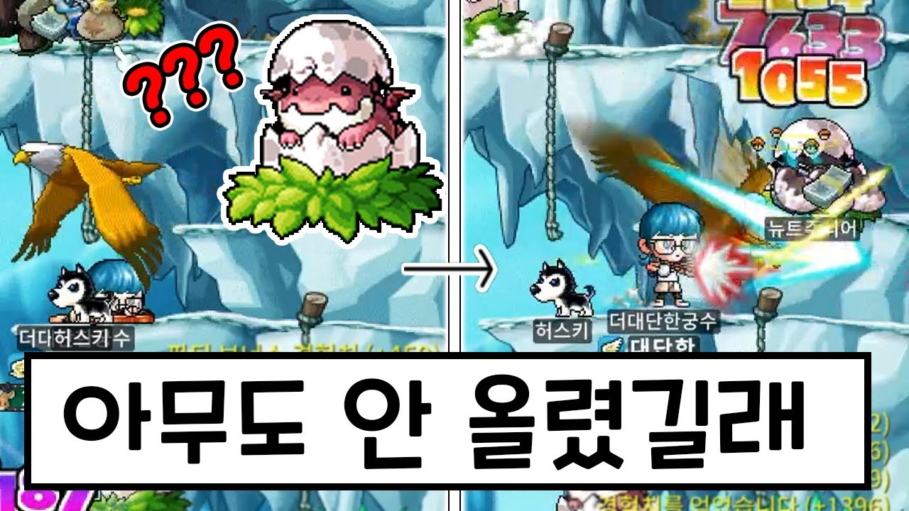 오징어에서 탈출, 잡기술로 경험치 복사하는 유자본궁수😱