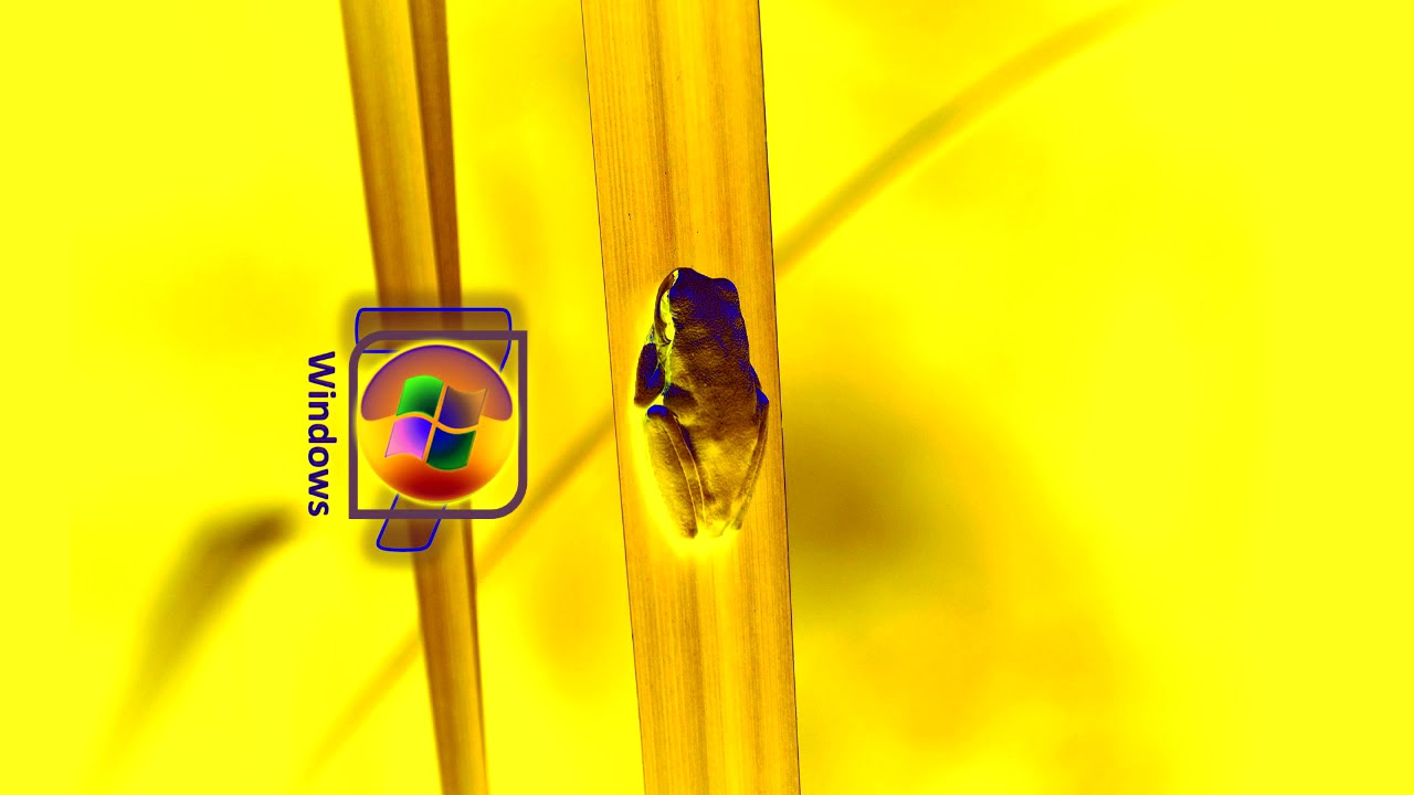 Green Forest With Green Frog Photo From Windows 7 And Startup Sound Effects (SBP2E)