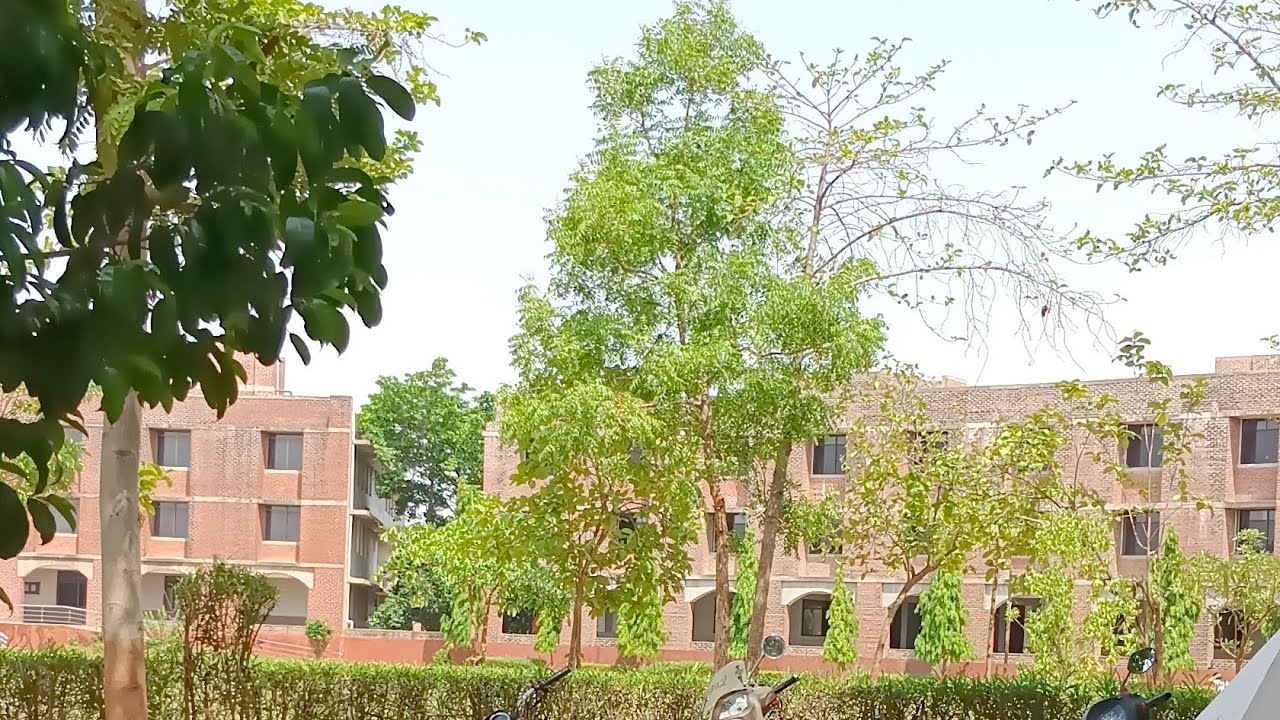 BAPU COLLEGE VASNA GANDHINAGAR