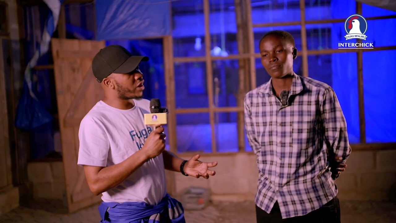 John anatuelezea safari yake ya ufugaji wa kuku kuanzia kufuga kuku 500 mwaka 2022