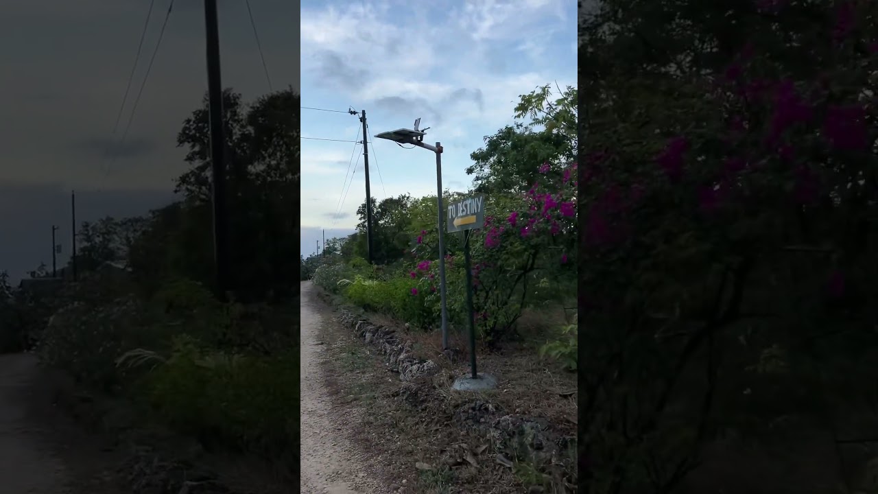Stilts Garden Flowers 24 Hectares #stiltscalatagan