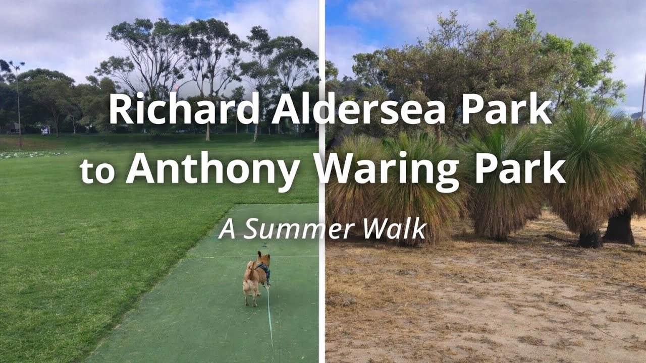 Richard Aldersea to Anthony Waring Park  A Summer Walk. Clarkson, Perth Australia.