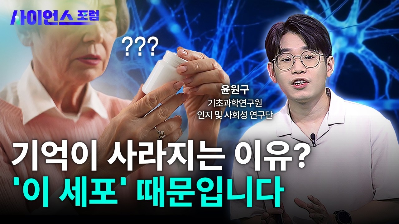 [사이언스포럼] 뇌 건강의 숨은 조력자, 별아교세포에 주목하라 / YTN 사이언스