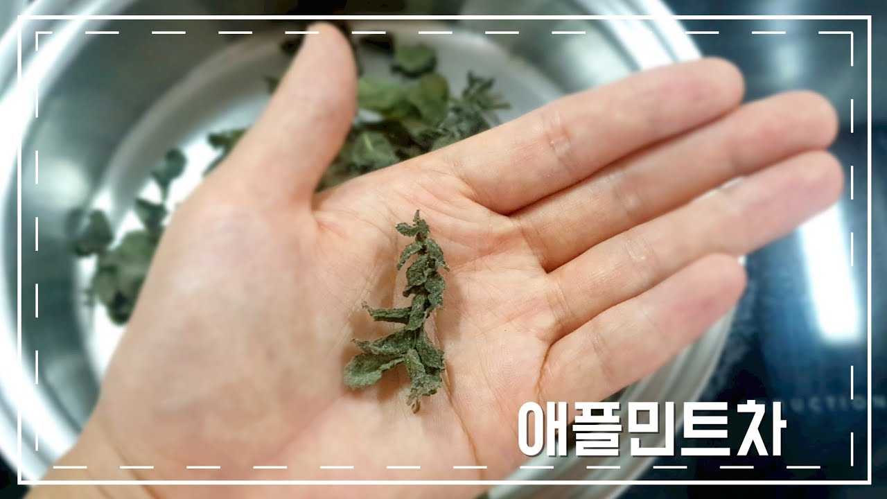 허브차 | 청량한 애플민트차 만들기