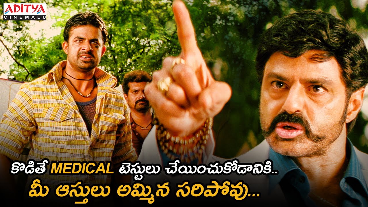 Simha Superhit Movie Power Packed Action Scenes | Balakrishna | Nayanthara | Sneha | Aditya Cinemalu