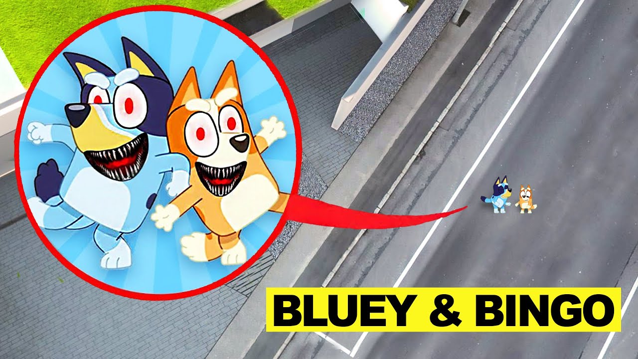 DROHNE überwacht BLUEY und SCHWESTER BINGO in REAL LIFE um 3 UHR mittags !!