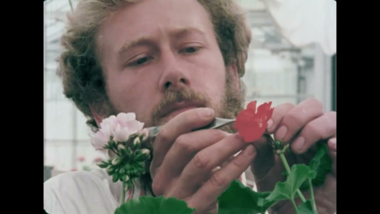 Growing Together, 1977