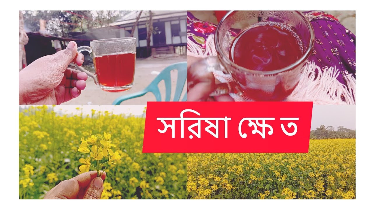 গ্রামের সকাল মানে রং চা আর বিস্কুট ☕ বিক্রমপুরের সরিষা ক্ষেত 💛@TabassumZannatSuha23 