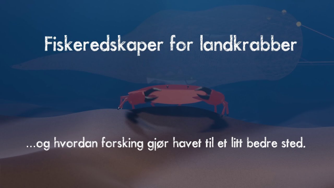 Fiskeredskaper for landkrabber: Snurrevad