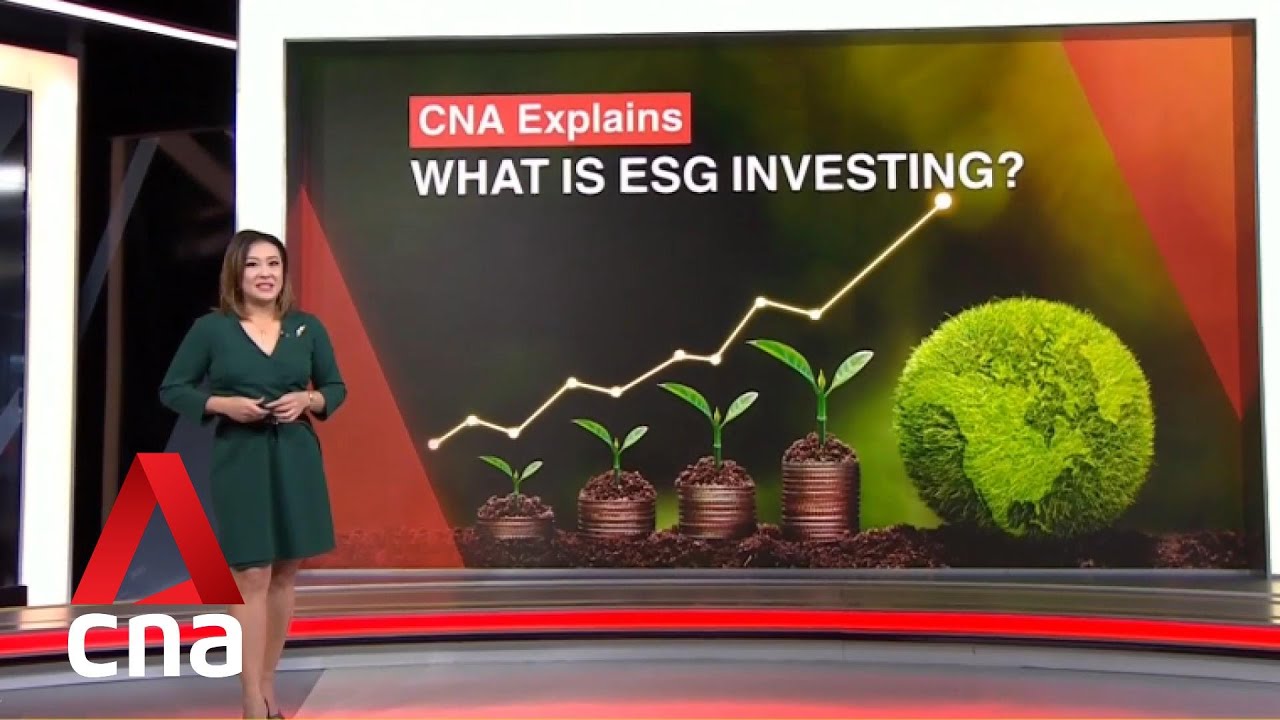 CNA Explains: What is ESG investing?