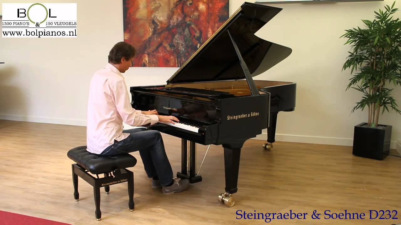 Steingraeber & Soehne D 232 populair