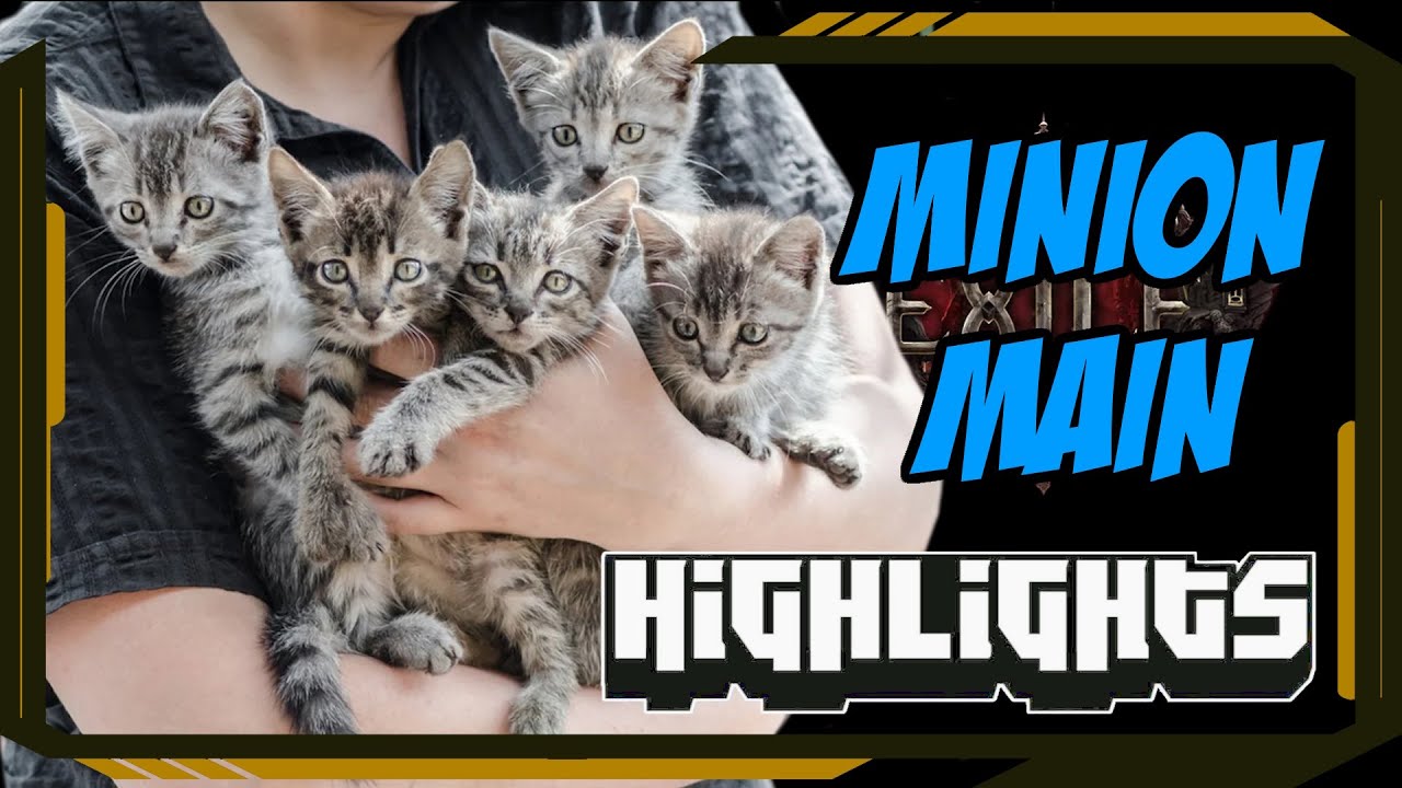 Minion main - Path of Exile Highlights #671 - Ruetoo, Steelmage, Proplays, tytykiller and others