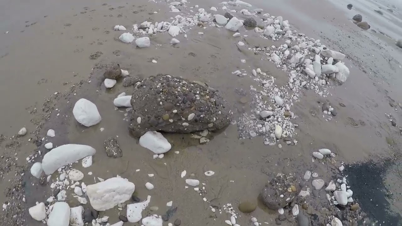 Fossil Hunting at Mappleton December 2024 #fossils #fossilhunting