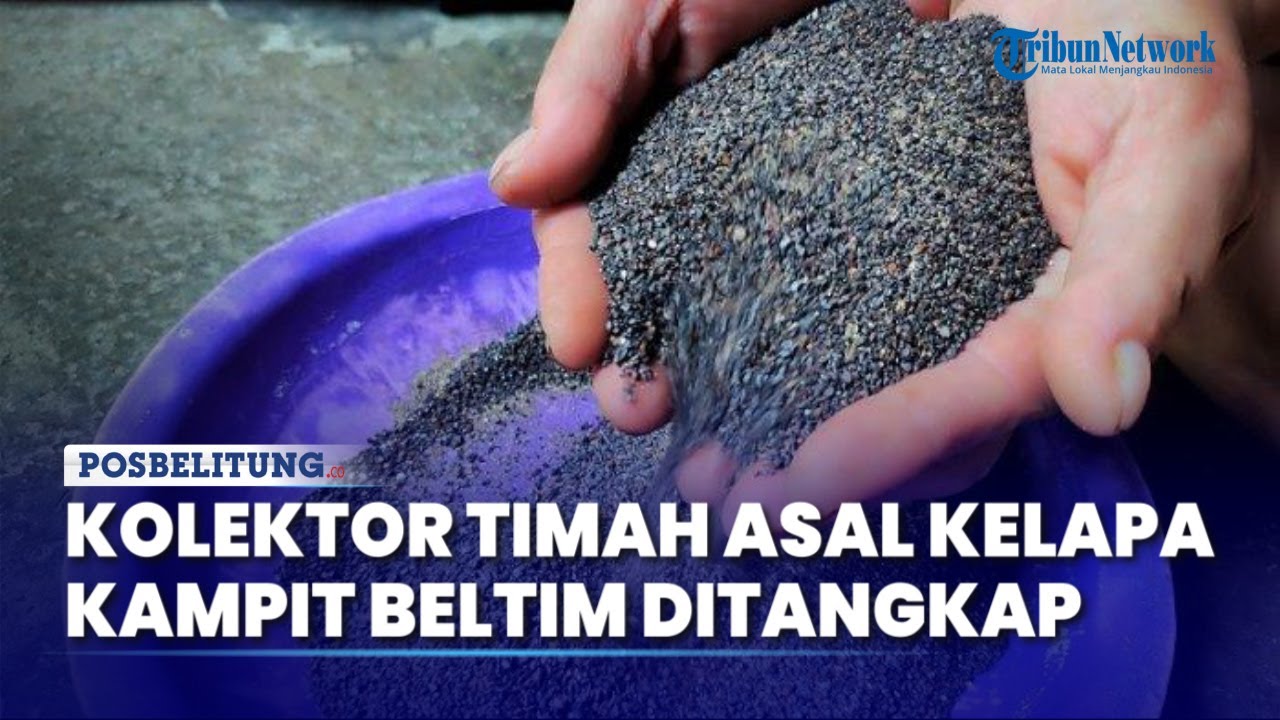Kolektor Timah Asal Kelapa Kampit Belitung Timur Ditangkap, Polisi Telusuri Aktor yang Terlibat