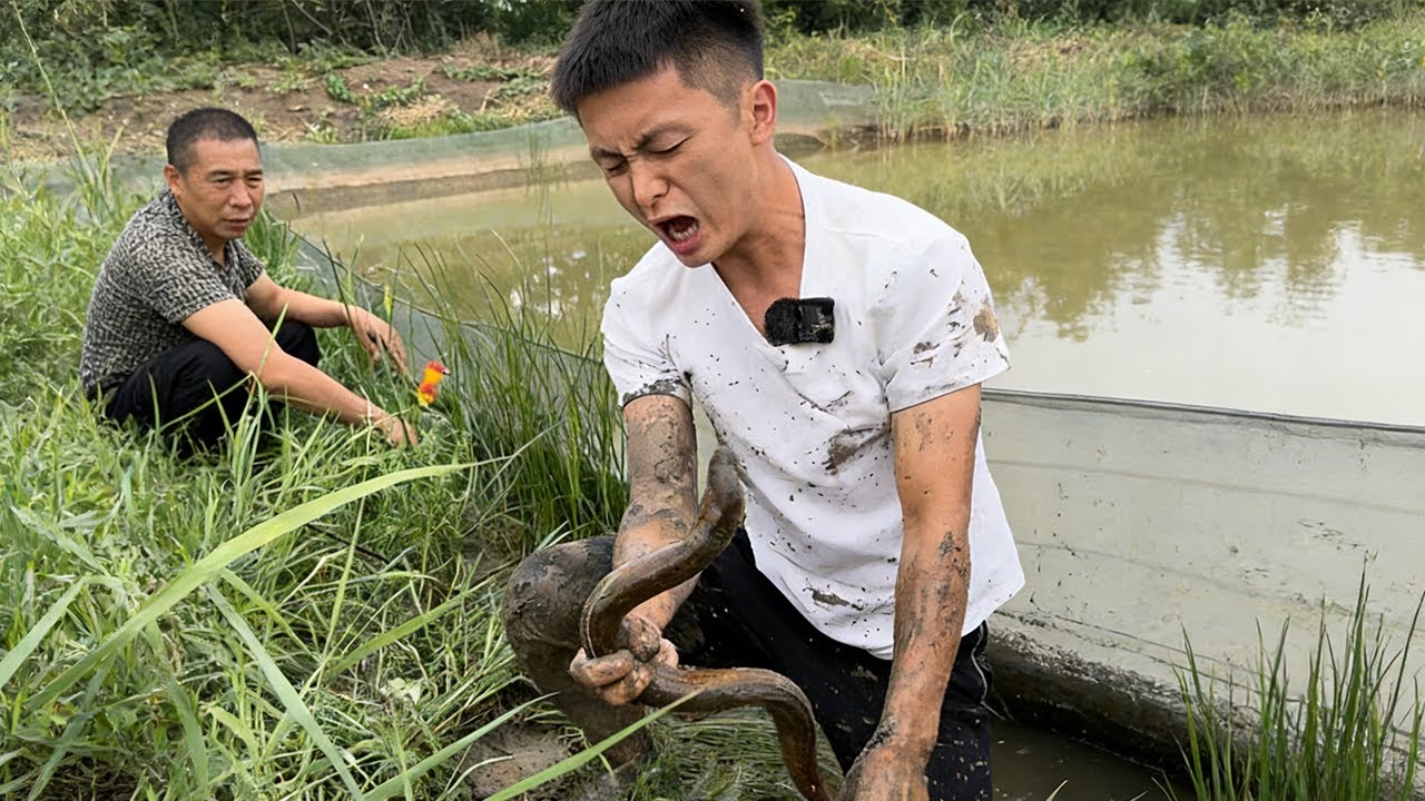 2斤重的土鱔魚不抓到我就不回去了，今天的運氣會如何#大熱門
