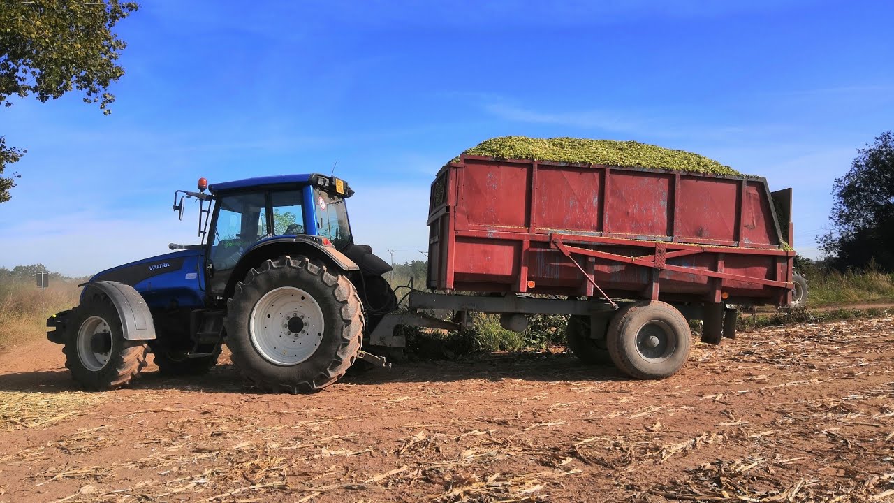 🔥AGRO VLOG #19🔥//🌽SILÁŽE V PNÉM PROUDU🌽//🚜VALTRA N191🚜//