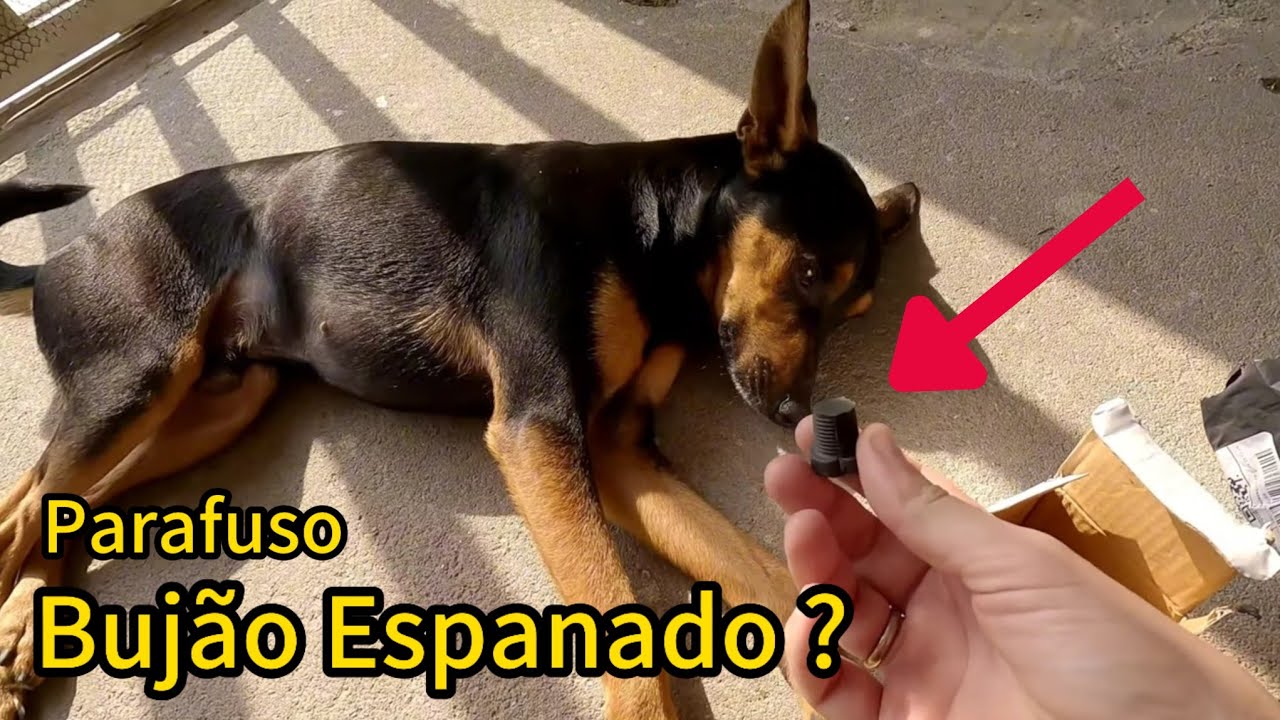 Parafuso do Bujão de Borracha na moto é Eficiente ? TESTE