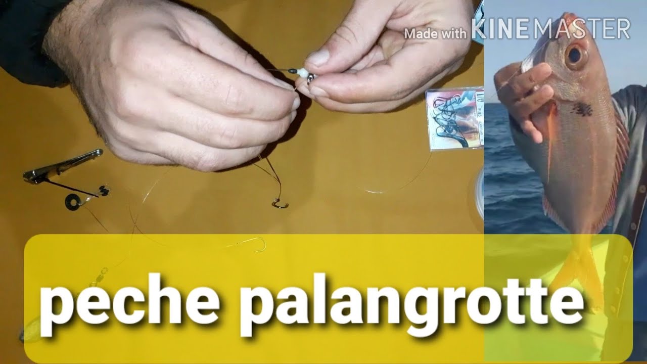 montage palangrotte افضل مونتاج لصيد الاسماك