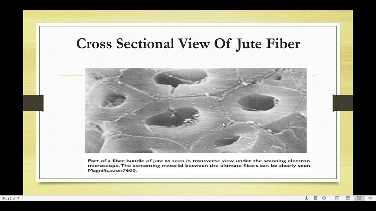 Textile Fibers Lecture ( Jute Fiber )