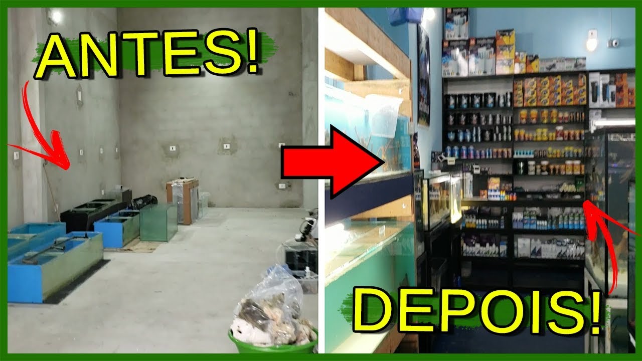 Montando uma LOJA de AQUARISMO do Zero! - Aquarismo Entre Amigos