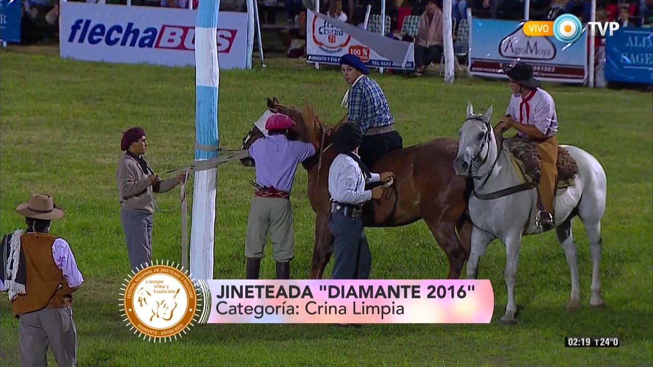 Festival de Jineteada y Folclore Diamante 2016 - Jineteada: categor&iacute;a Crina Limpia