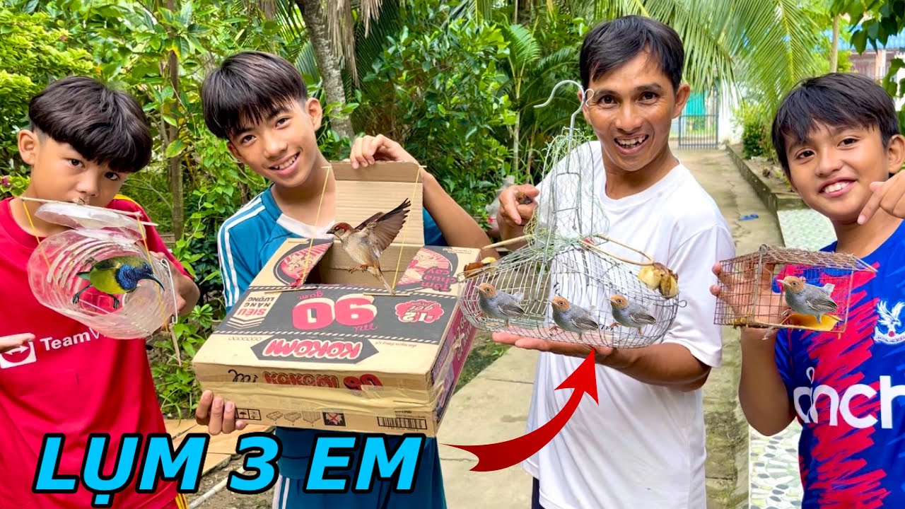 Chế Tạo Bẩy Chim Về Làm Chim Cảnh | Anh Tư Khải