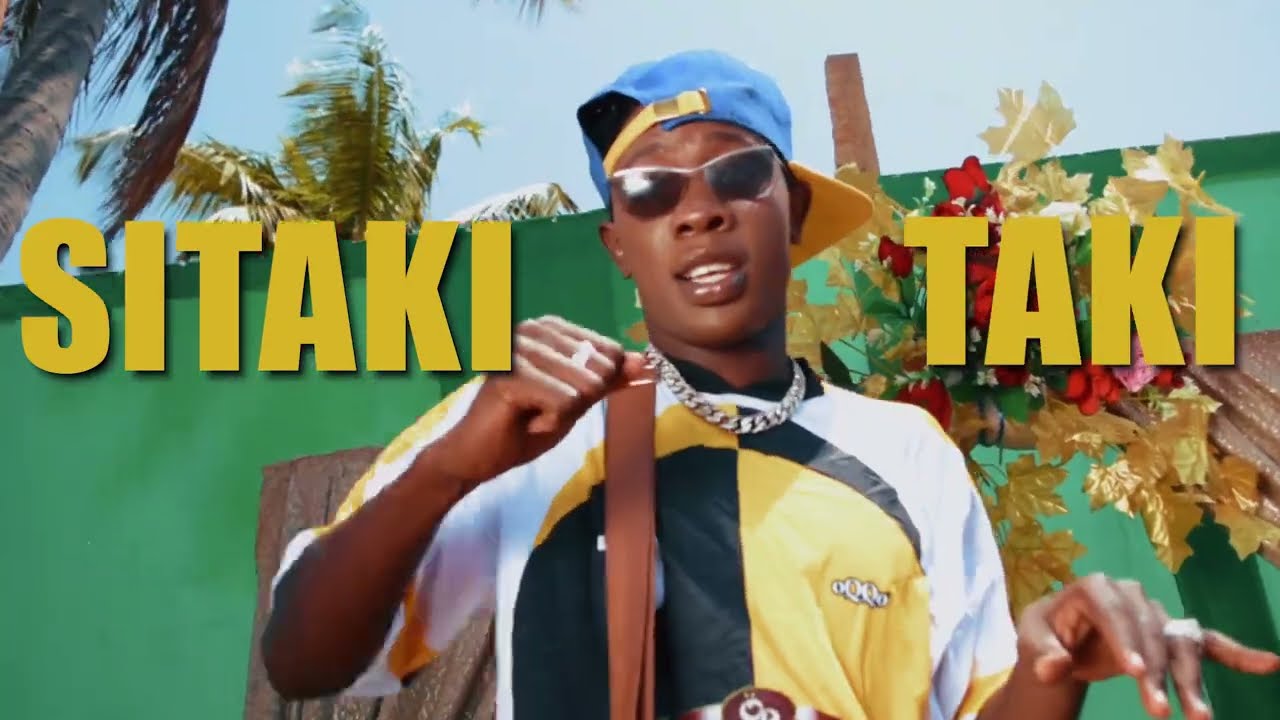 Sunmoney ft Medy tz_-_ Moyo (Video lyrics)