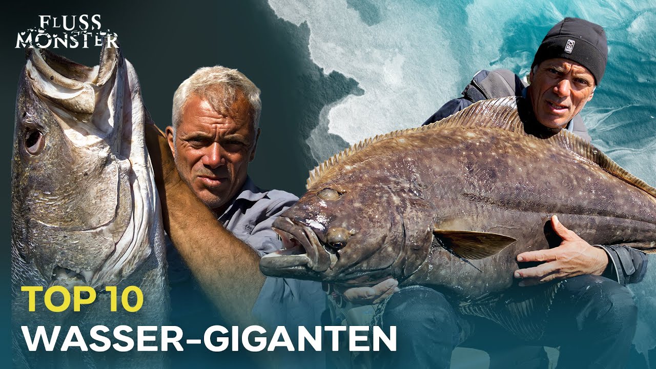 Die massivsten Fische, die je gefangen wurden | Fluss Monster