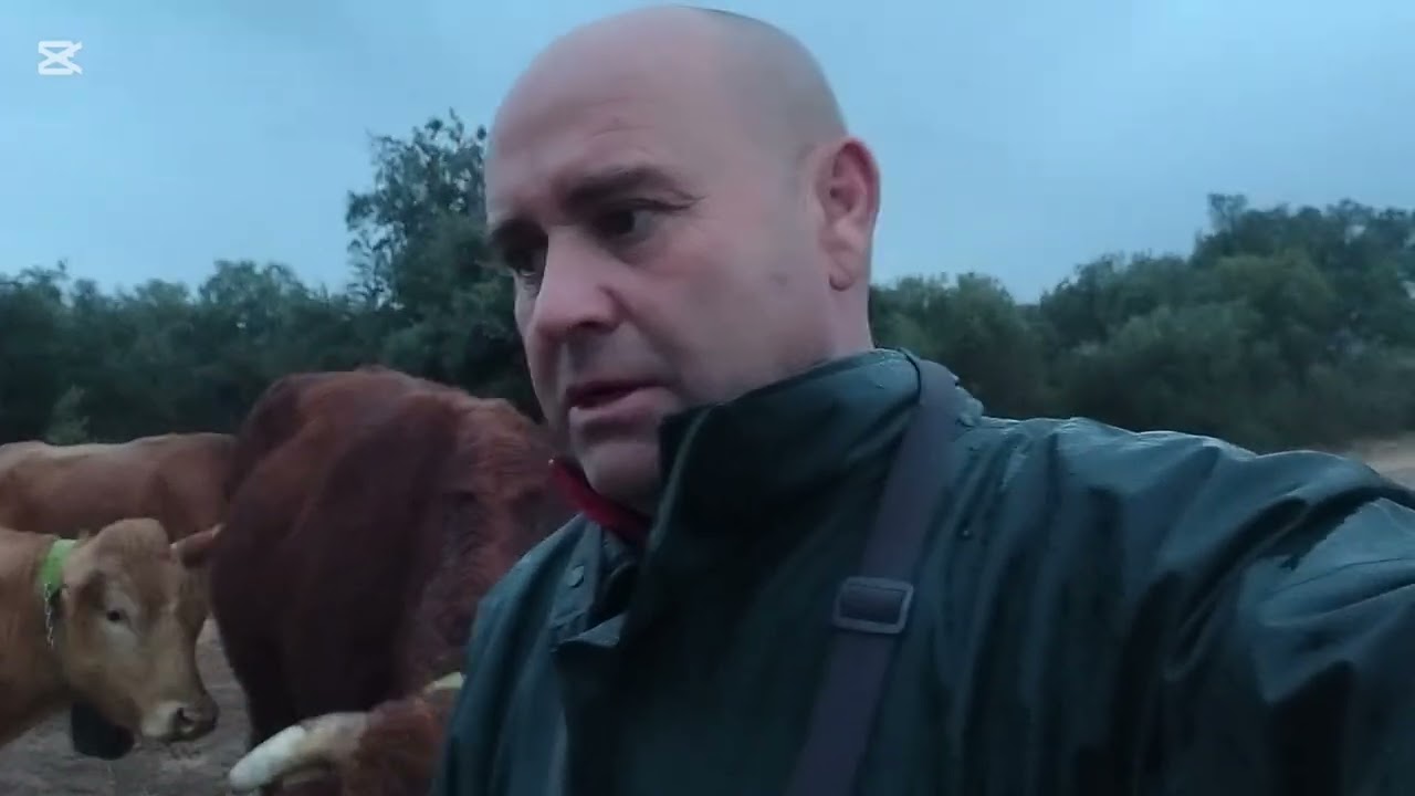 De afanes con la furgoneta y con Bartolo 