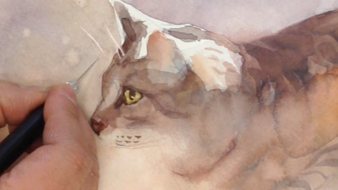 Animals #11 - Using Scratching in Watercolor for Cat Whiskers