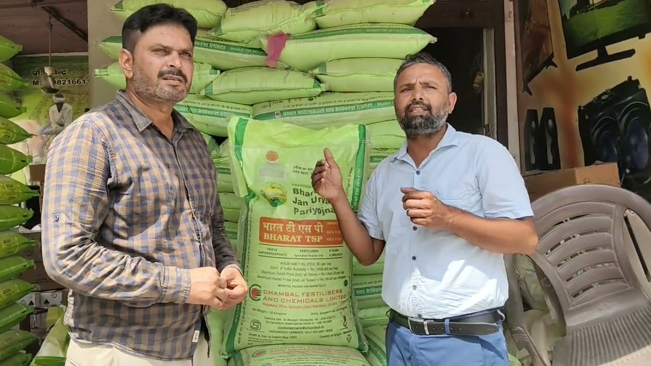 डीएपी की जगह कौन सी खाद प्रयोग करें 🌿🌿🌿