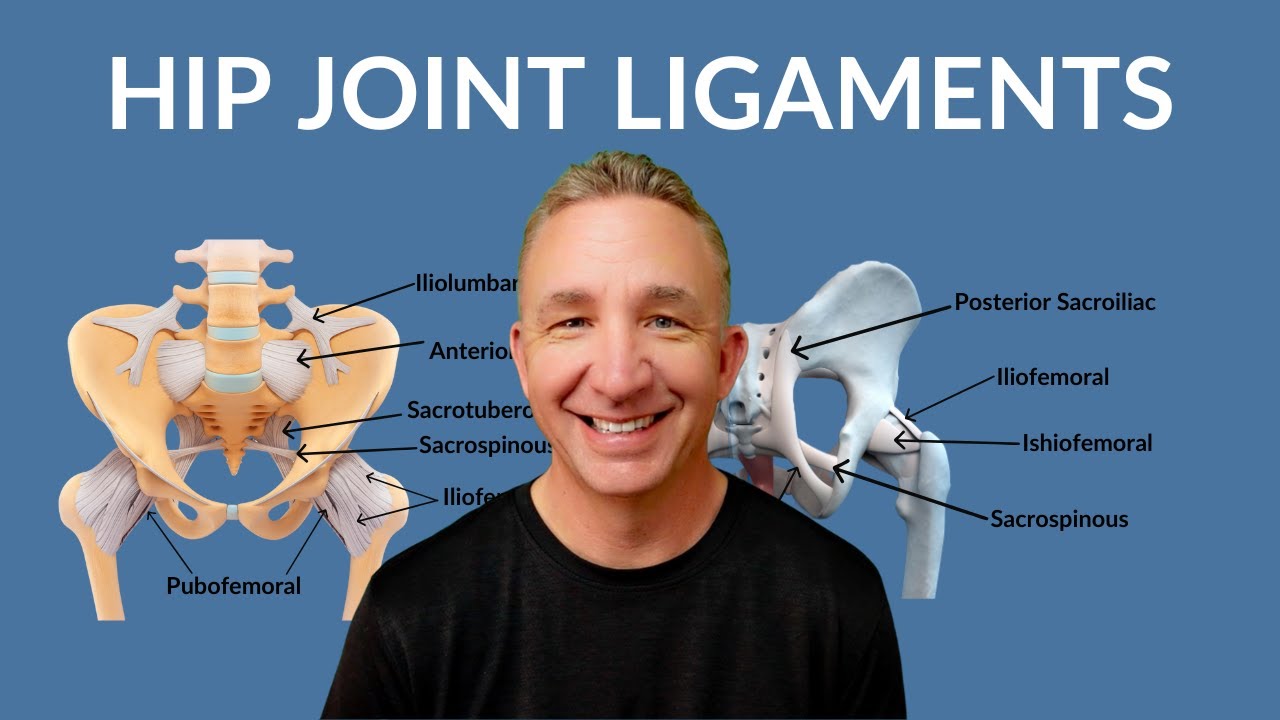 Understanding Hip Joint Ligaments