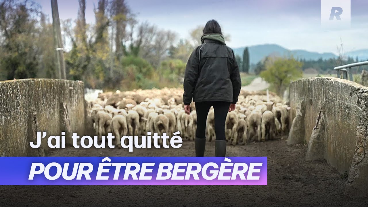 On quitte notre CDI pour vivre dans la nature