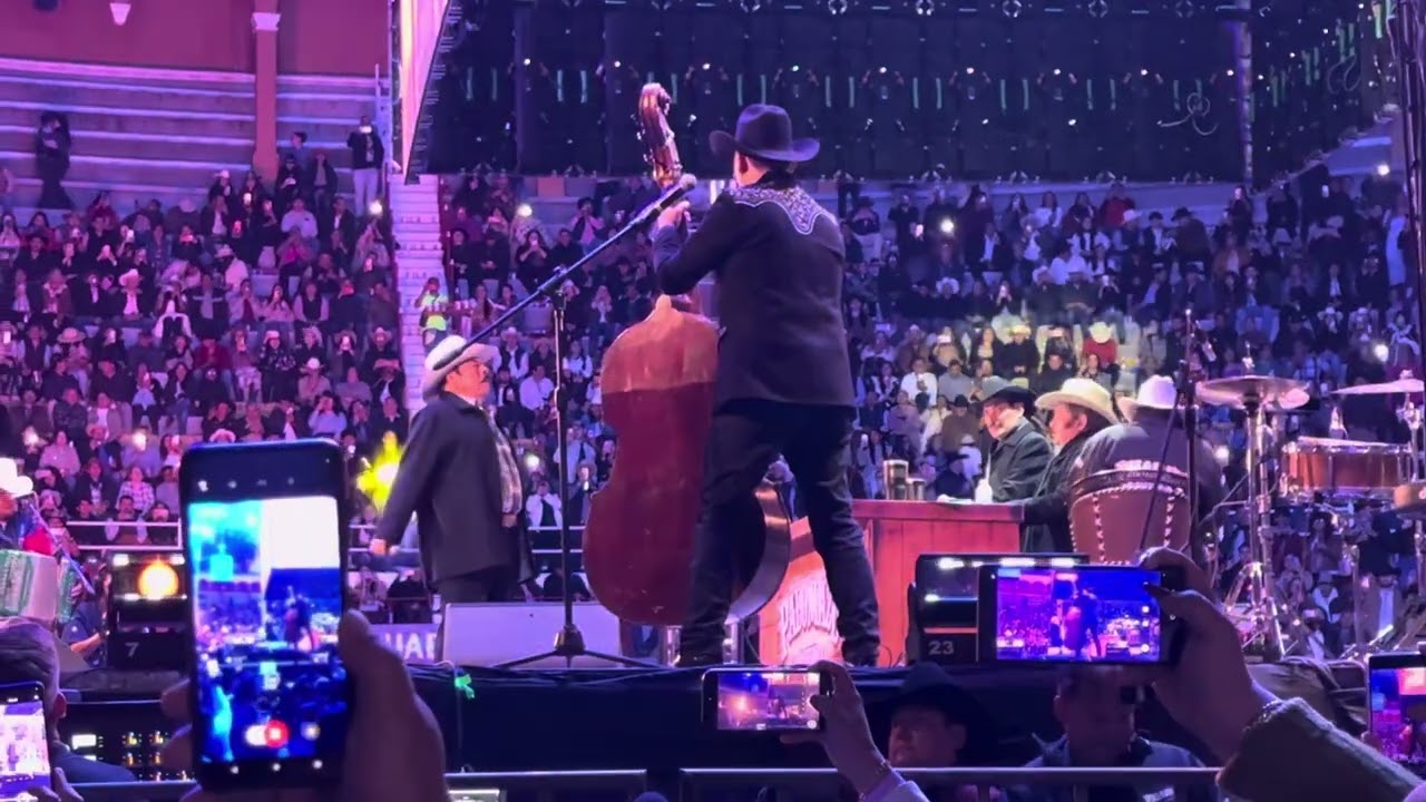 palomazo norteño