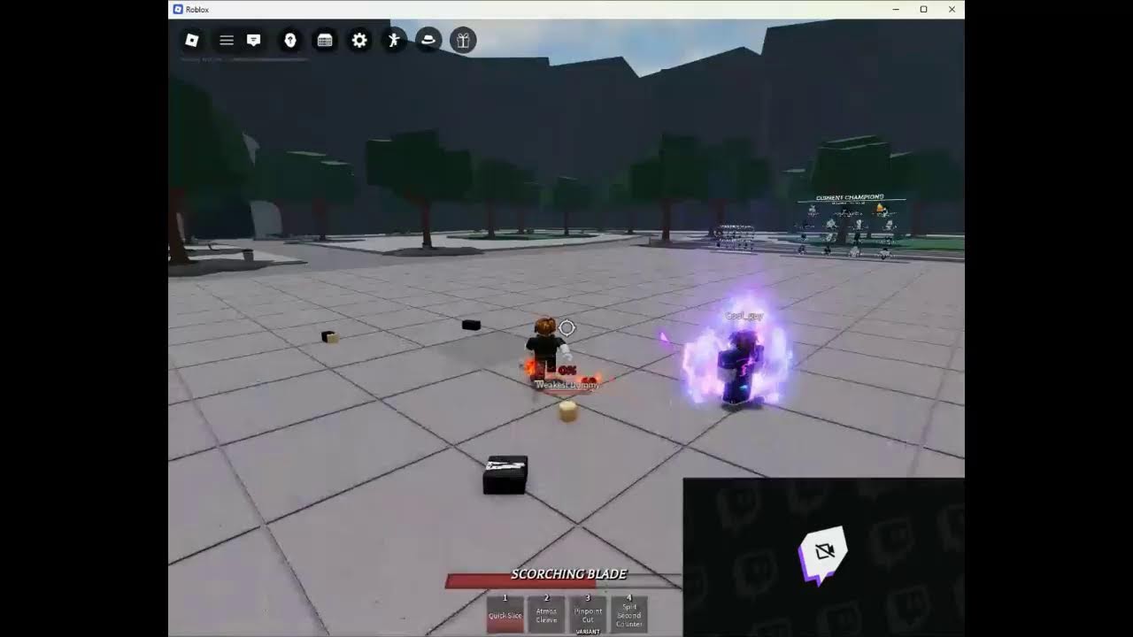 play with my subscribesrs