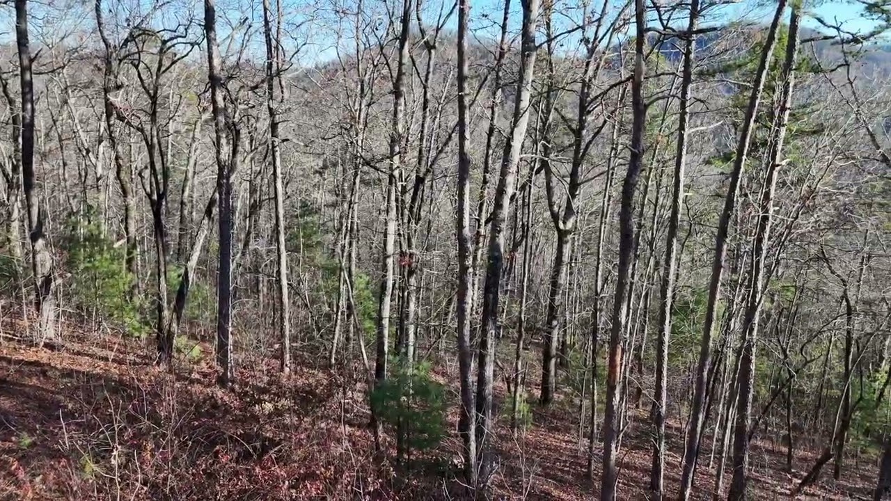 130 Brown Bear Ridge Trail