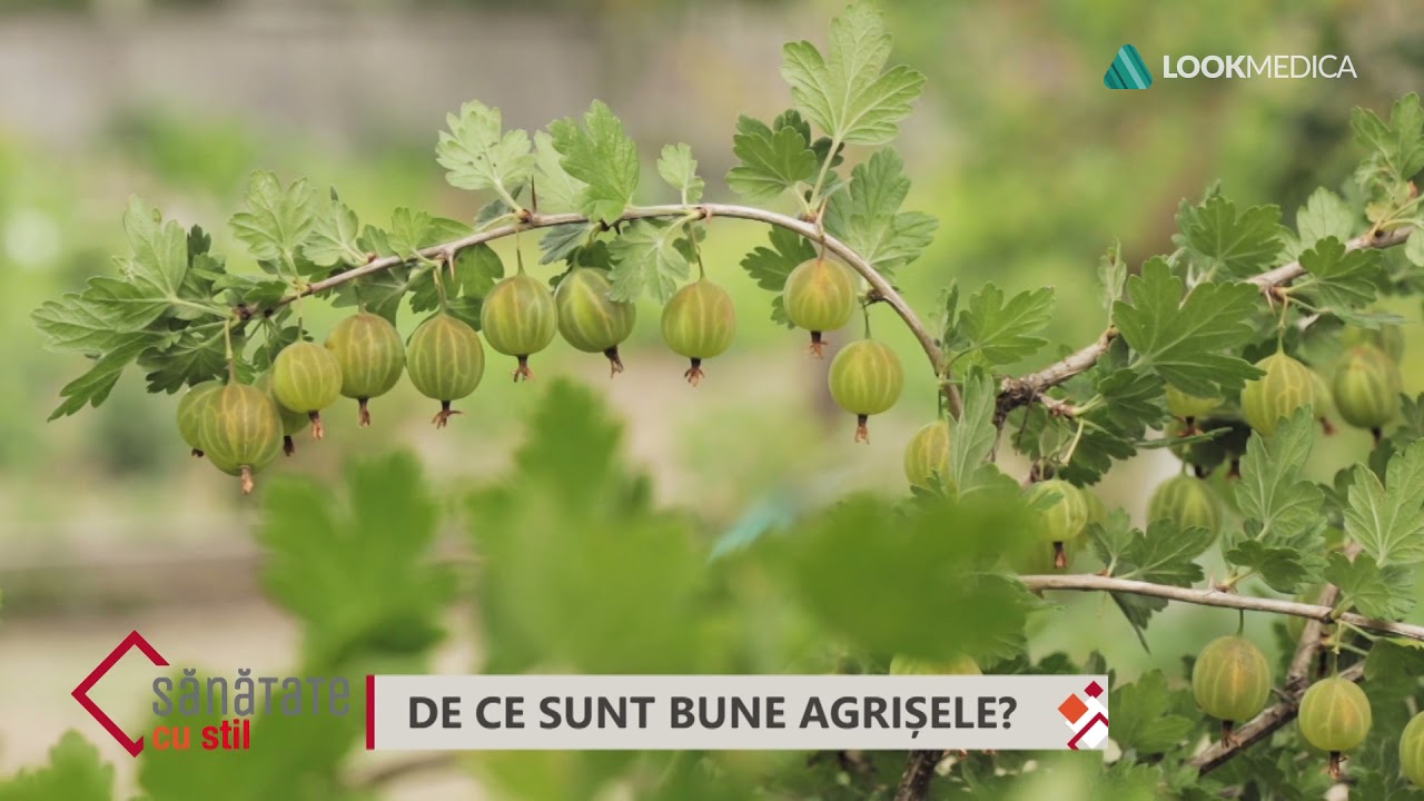 Sănătate cu stil- De ce sunt bune agrișele