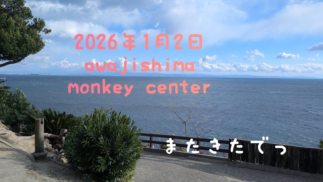 風が冷たいある冬の1日#淡路島モンキーセンター#Monkey