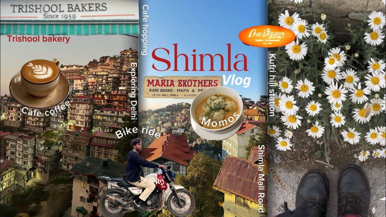 Shimla Escape During Indo-Pak war.[Delhi explore,Hummayun tomb,shimla aesthetic,toy train]