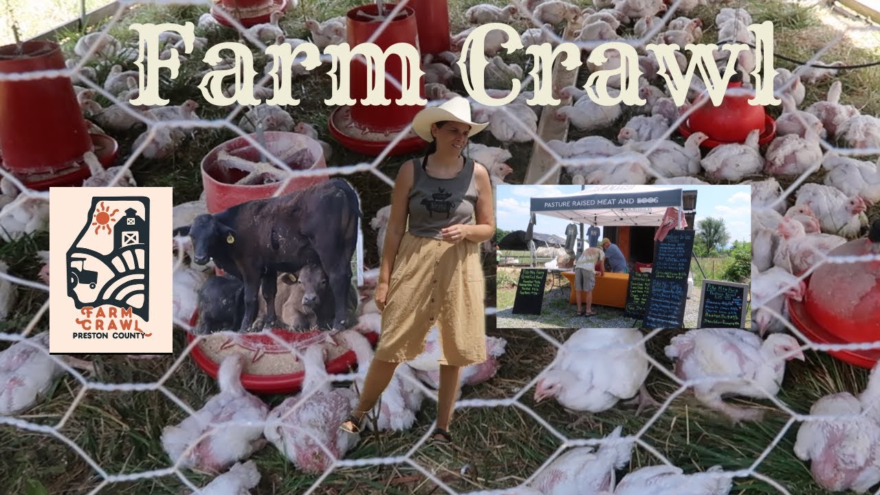 Farm Crawl Pike Mountain Farm