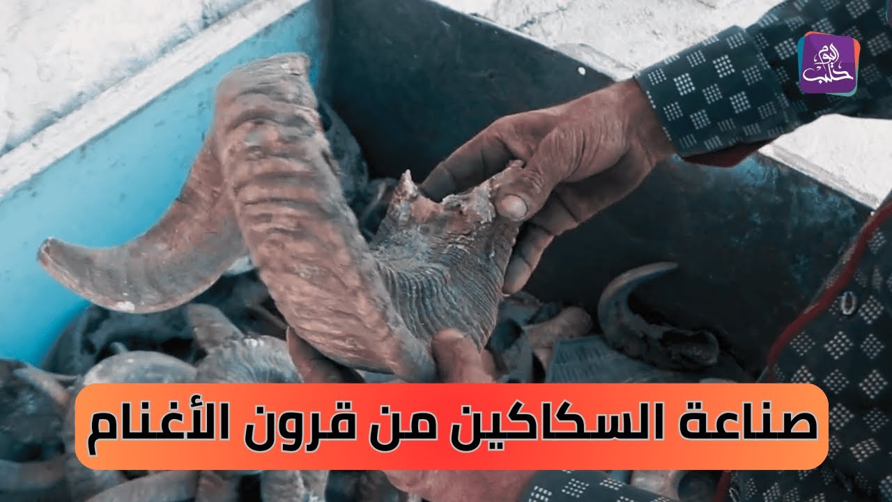 إحياء لتراث الأجداد أبو عمر يحافظ على مهنة والده في صناعة السكاكين من قرون الأغنام || نبض المجتمع
