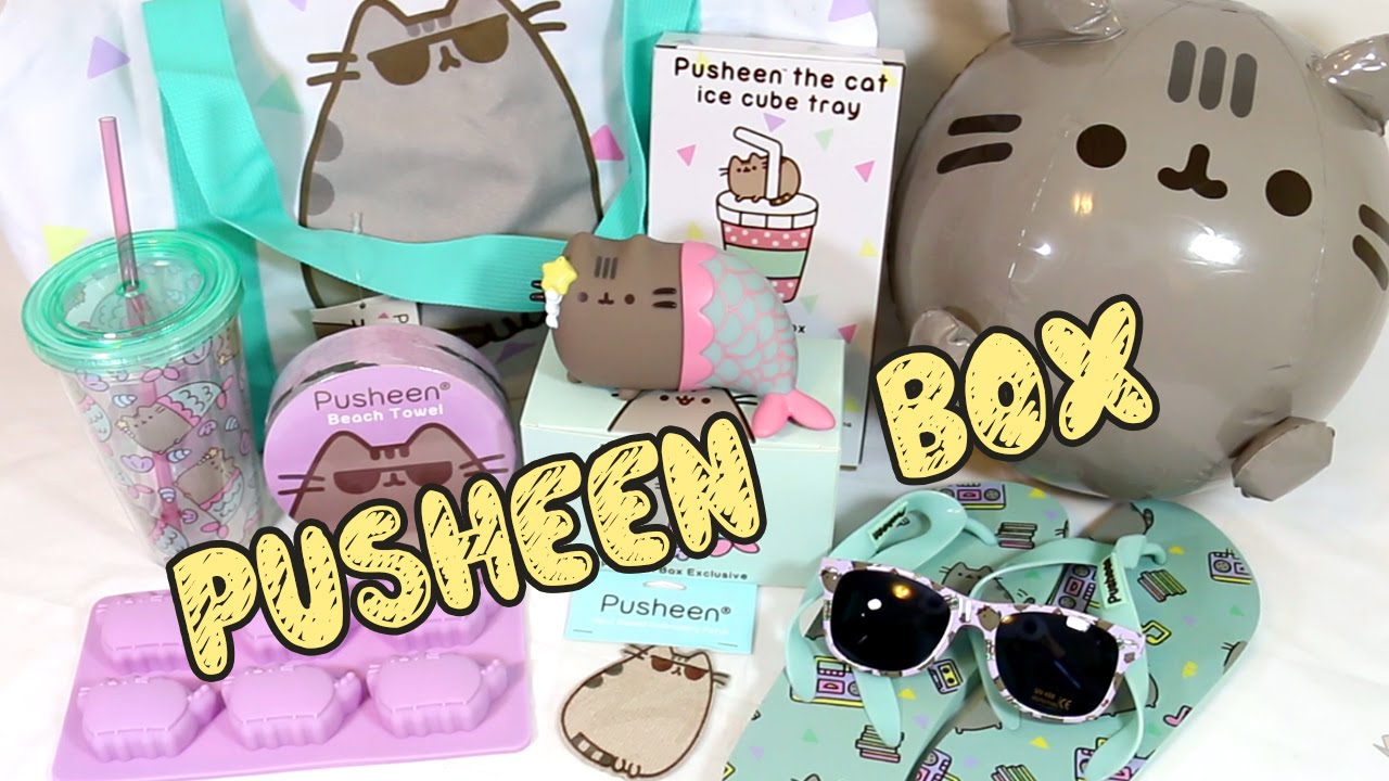PUSHEEN BOX - Summer 2016